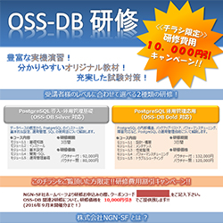 株式会社NGN-SF OSS-DB研修 チラシ